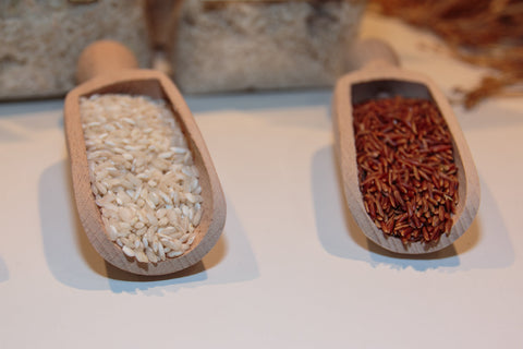 White vs. Brown Rice: Which One is Right for You? ๐พ