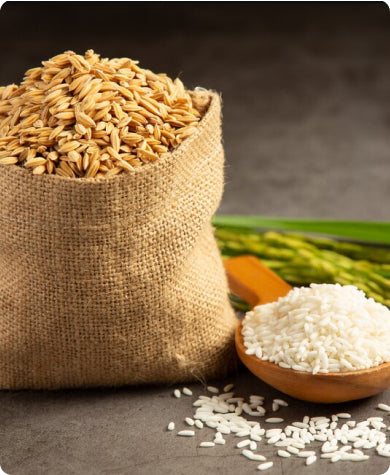 The Wholesome Goodness of Jaisal Organic Brown Rice ๐พ