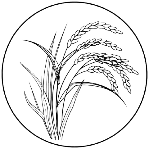 gmo__2_-removebg-preview - Jaisal Organic