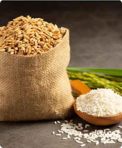 The Wholesome Goodness of Jaisal Organic Brown Rice 🌾 - Jaisal Organic