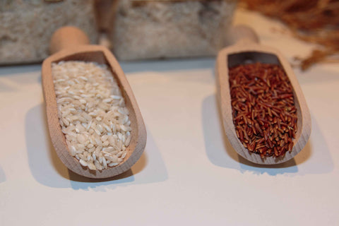 White vs. Brown Rice: Which One is Right for You? 🌾 - Jaisal Organic